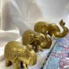 Royal Brass Elephant Statue - Image 9
