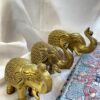 Royal Brass Elephant Statue - Image 11
