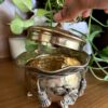 Dry Fruits Bowl - Image 2