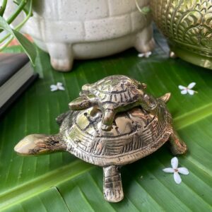 Brass Tortoise Statue Baap - Beta