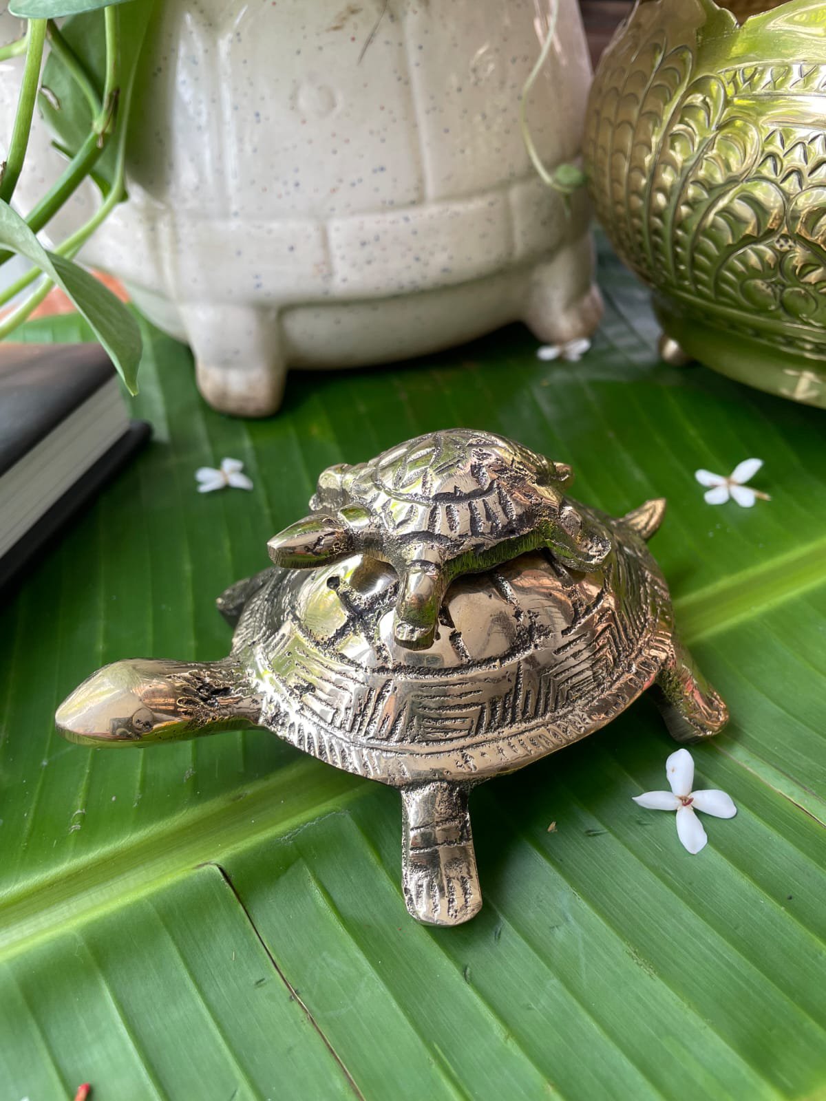 Brass Tortoise Statue Baap - Beta